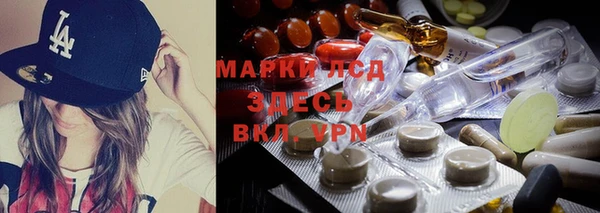 PSILOCYBIN Киров