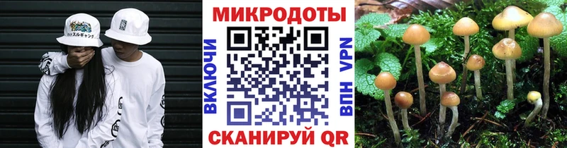 где найти наркотики  Елец  Псилоцибиновые грибы прущие грибы 